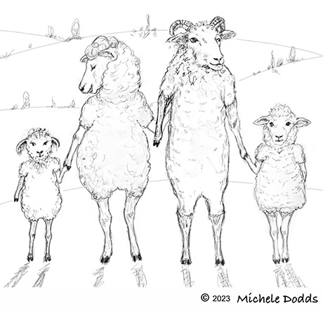 Sheep Family Image
