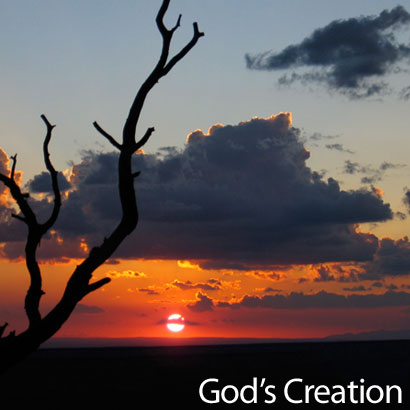 God's Creation Photo
