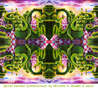 Spiral Garden Symmetrical
