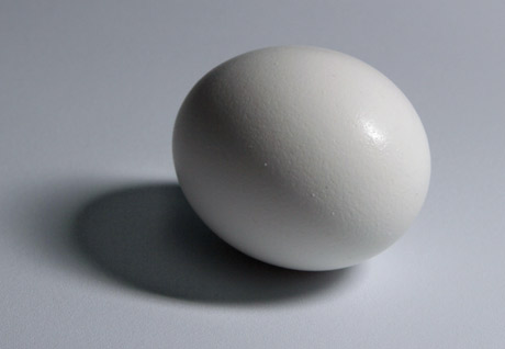 Egg Image