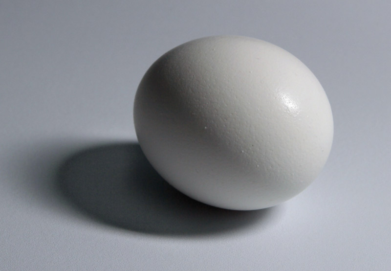 Egg Shading