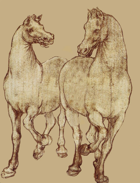 Horses Leonardo