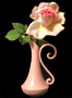 Rose in Vase