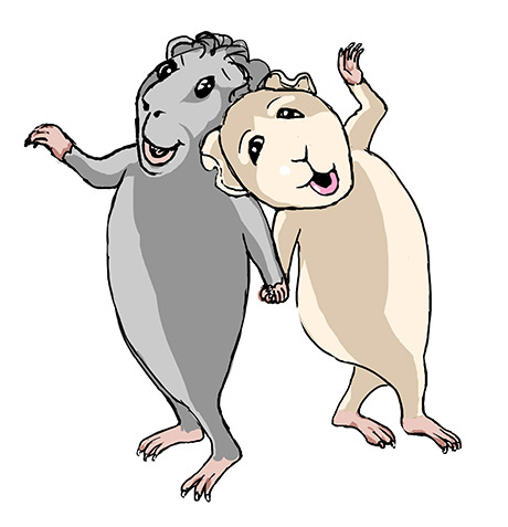 Two Guinea Pigs