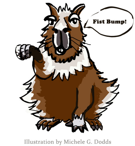 Capybara Image