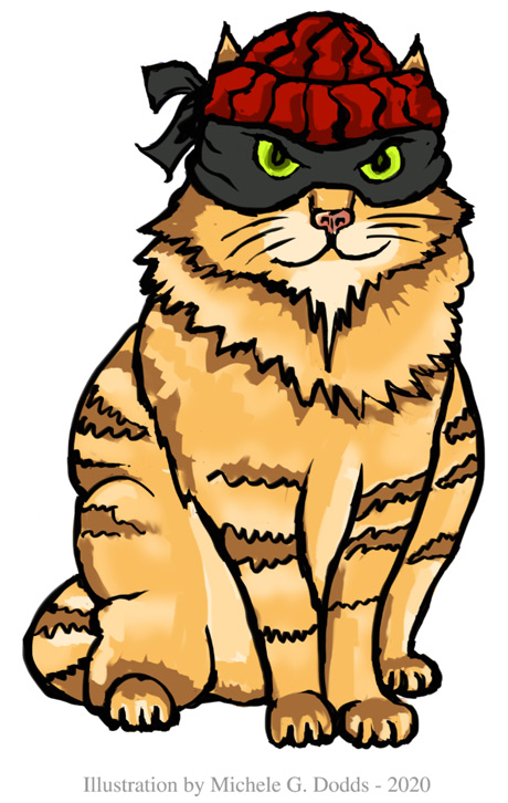 Cat Bandit Image