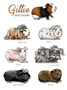Guinea Pigs 2D Drawing