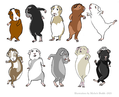 Guinea Pigs
