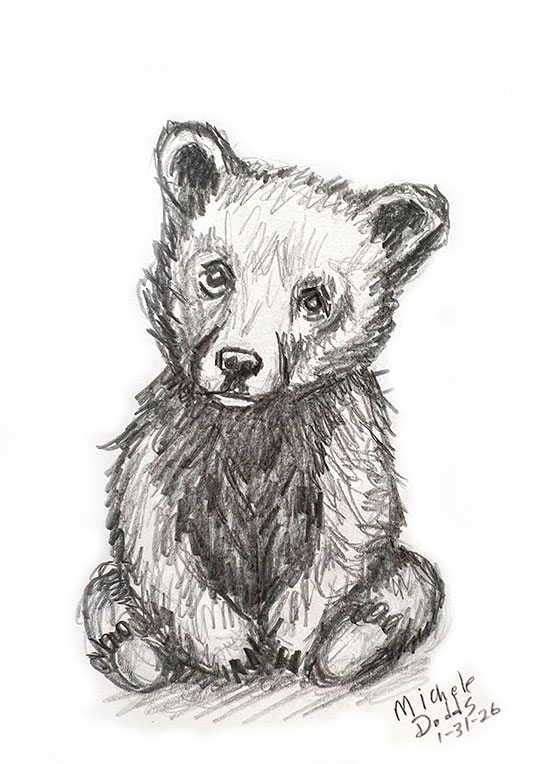 Baby Bear Drawing Image