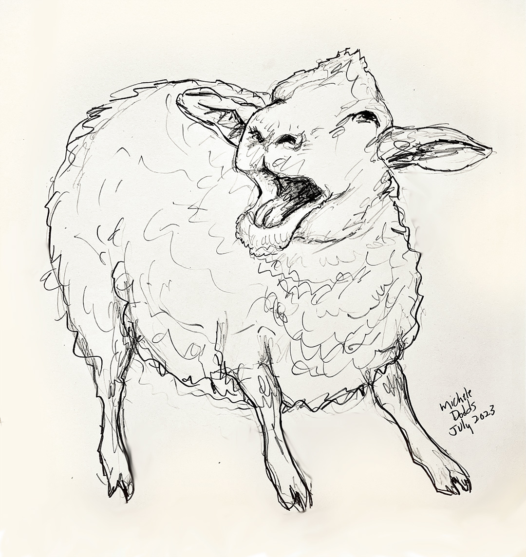 Sheep Bleat Drawing