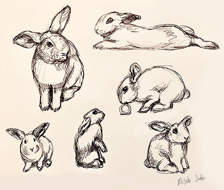 Bunny Drawing  Image