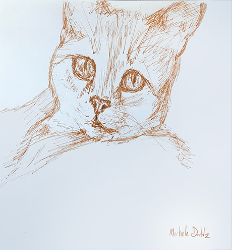 Cat Face Drawing