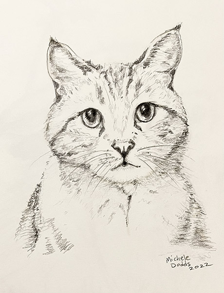 Chester Portrait Michele Dodds