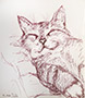 Cute Cat Thumb