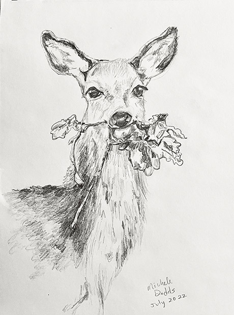 Deer Drawing Image