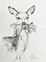Deer Drawing Thumb