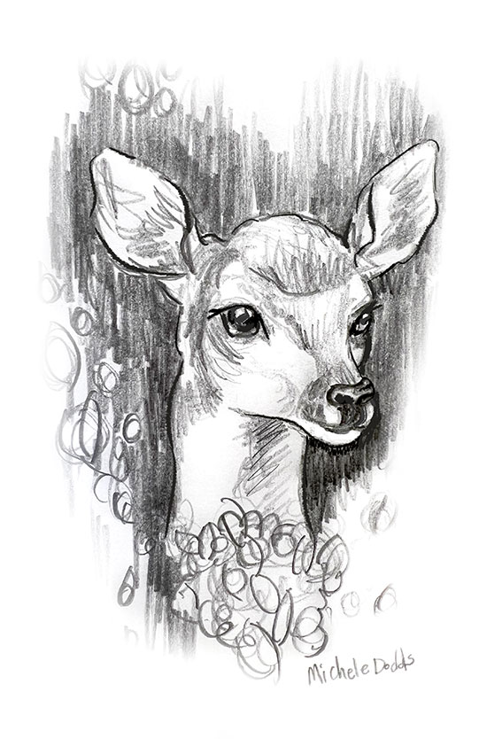Deer Head Drawing
