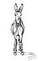 Donkey Drawing Thumb