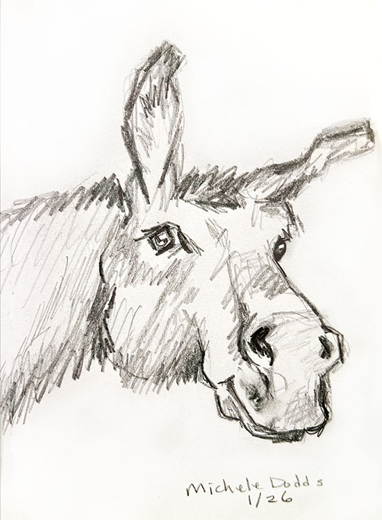 Donkey Smile Drawing Image