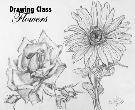 Flowers Drawing Image