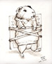 Guinea Pig Thumb