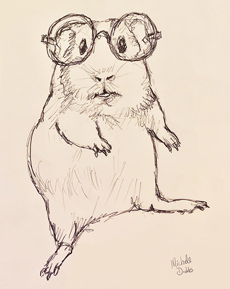 Guinea Pig Image
