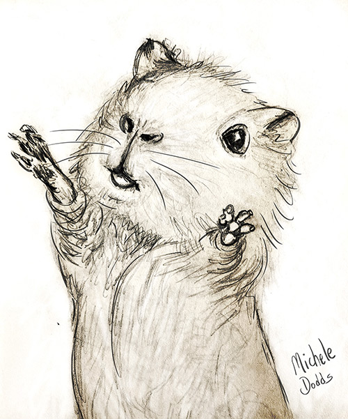 Guinea Pig Happy Image