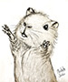 Guinea Pig Happy Thumb