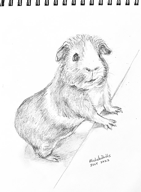 Guinea Pig Stand Image
