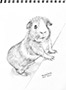GuineaPig Stand Thumb