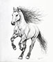 Horse May Thumb