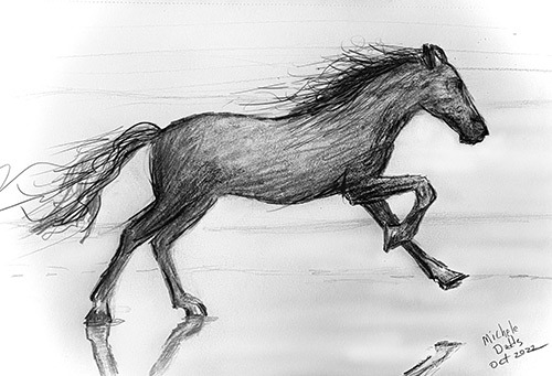 Horse Running Image