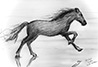 Horse Running Thumb