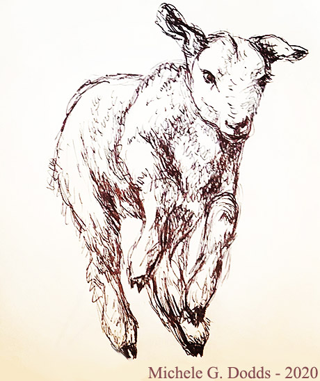 Lamb Leaps Drawing
