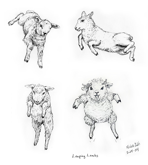 Leaping Lambs Drawing Image