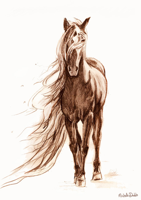 Horse Drawing Image