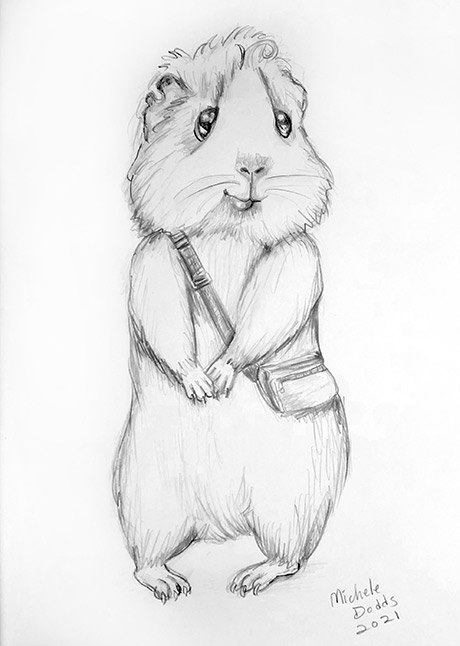 Guinea Pig Drawing