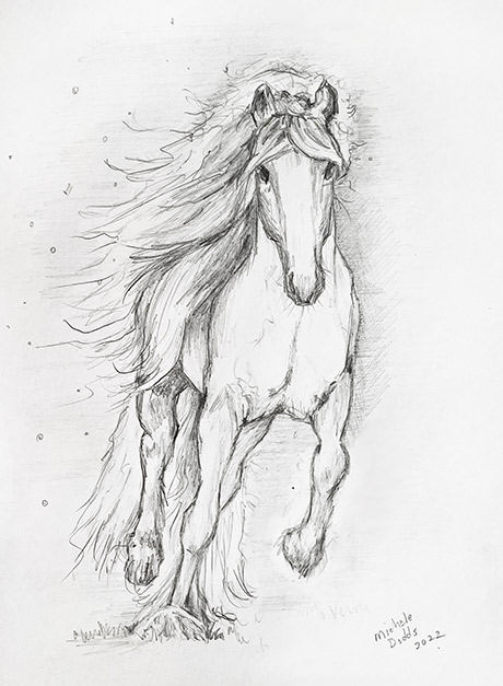 White Horse Image