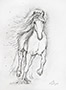 White Horse Thumb