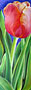 Tulip Painting Thumb
