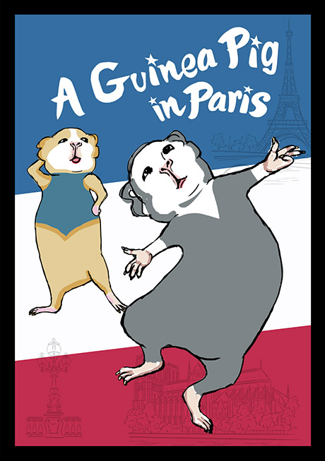 Guinea Pig  Paris Image