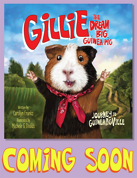 Gillie Book Image