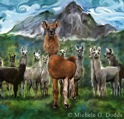 Livy the Llama Image