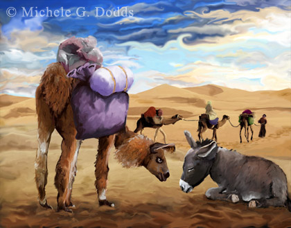 Llama 20 Image