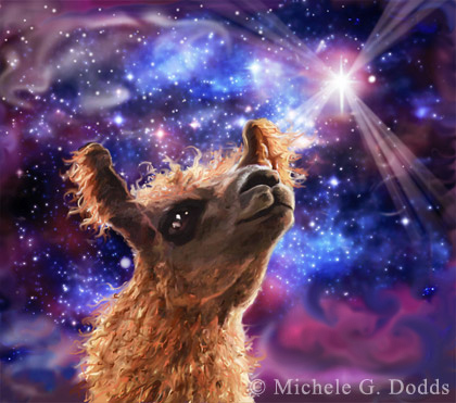 Llama Illustration