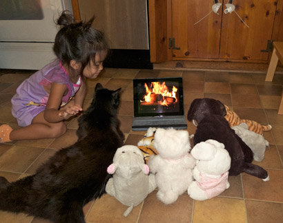 ipad fireplace