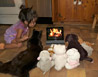 Fireplace Thumb