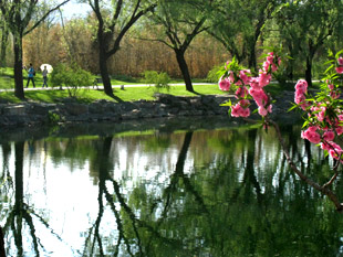 Summer Palace