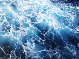Ocean