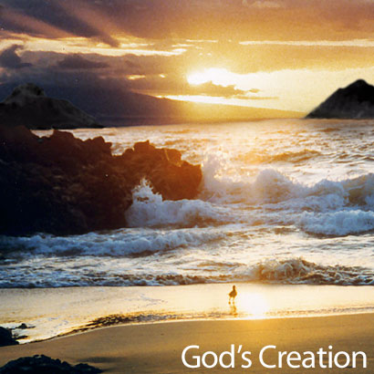 God's Creation Photo